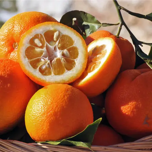 Alpilean Ingredient: Bigarade Orange (Bitter Orange)