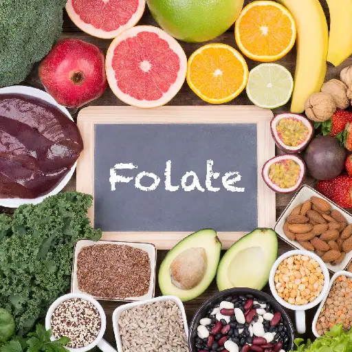 Folixine Ingredient: Folate