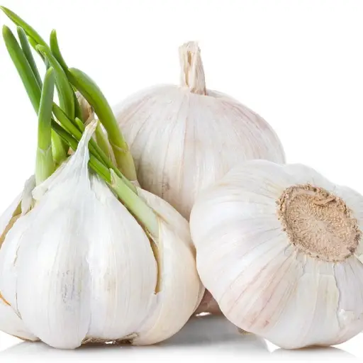 Fungus Elixir Ingredient: Allium Sativum (Garlic Bulb)