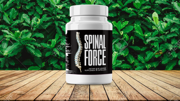 Spinal Force