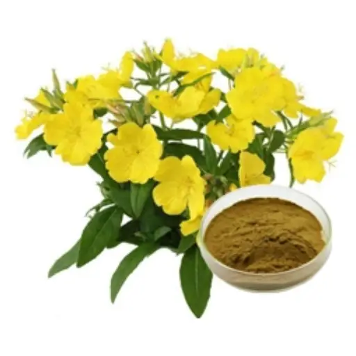 IQ Blast Pro Ingredient: Evening Primrose Extract