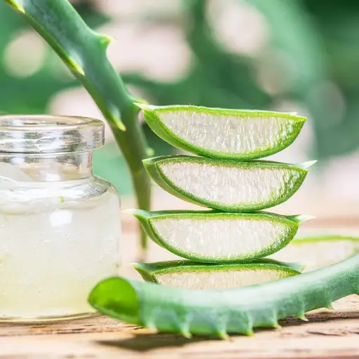 Revisil Ingredient: Aloe Vera