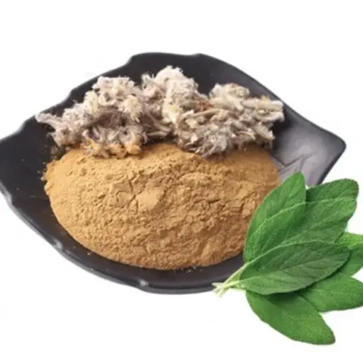 Revisil Ingredient: Sage Leaf Extract