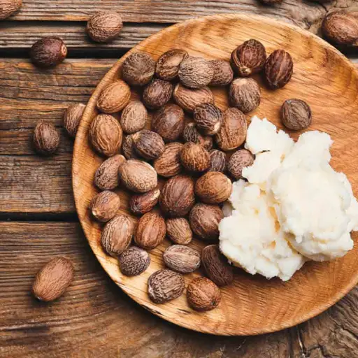 Revisil Ingredient: Shea Butter