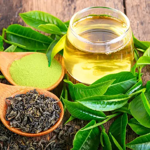 SeroLean Ingredient: Green Tea Extract