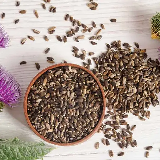 Triple Liver Health Ingredient: MilkThistle