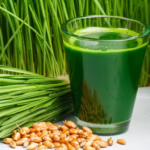 Triple Metabo-Greens Ingredient: Wheat Grass