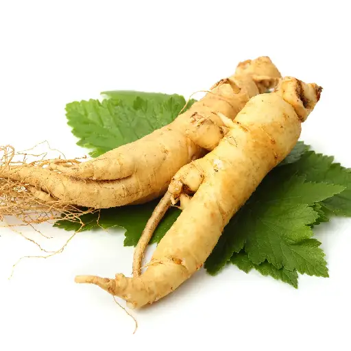 Triple Testo Boost Ingredient: Panax Ginseng