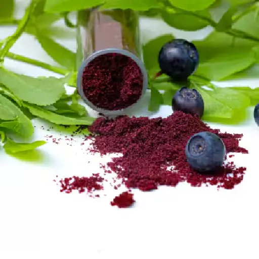 VisiPrime Ingredient: Bilberry Extract