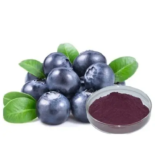 VisiSoothe Ingredient: Bilberry Extract