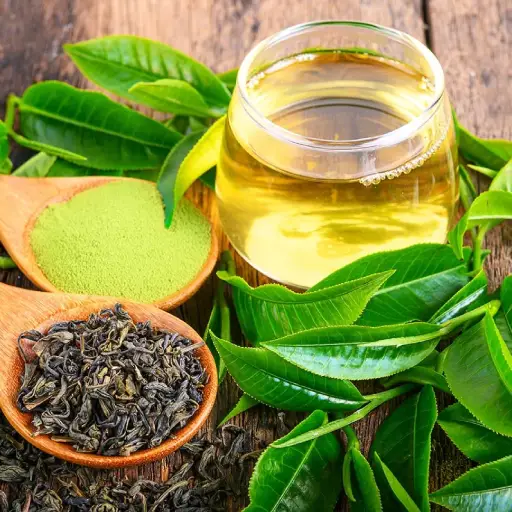VitaHear Plus Ingredient: Green Tea