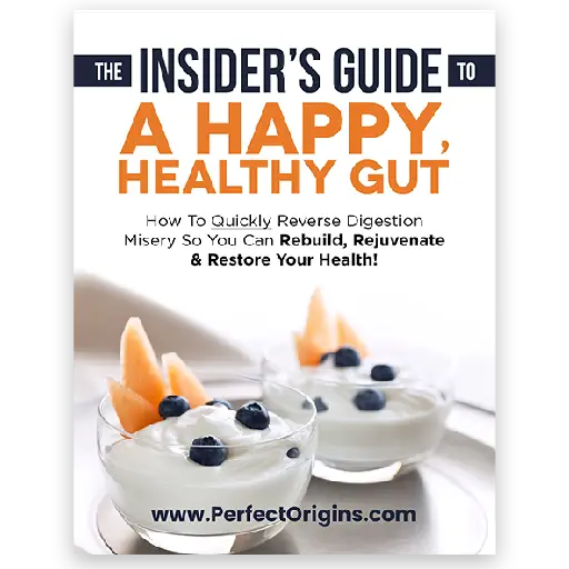 Vive Biotics Bonus:Insider’s Guide To A Happy Healthy Gut
