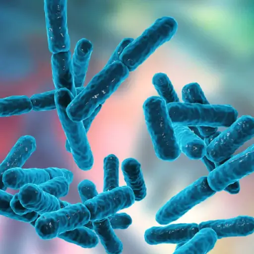 Vive Biotics Ingredient:Bifidobacterium Longum